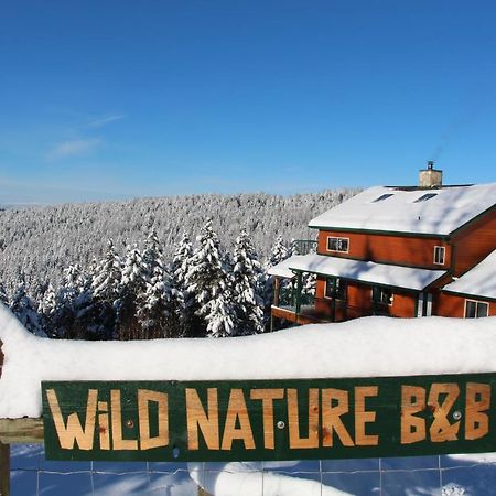 Wild Nature B&B Kelowna Exteriör bild