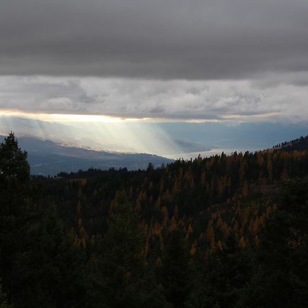 Wild Nature B&B Kelowna Exteriör bild