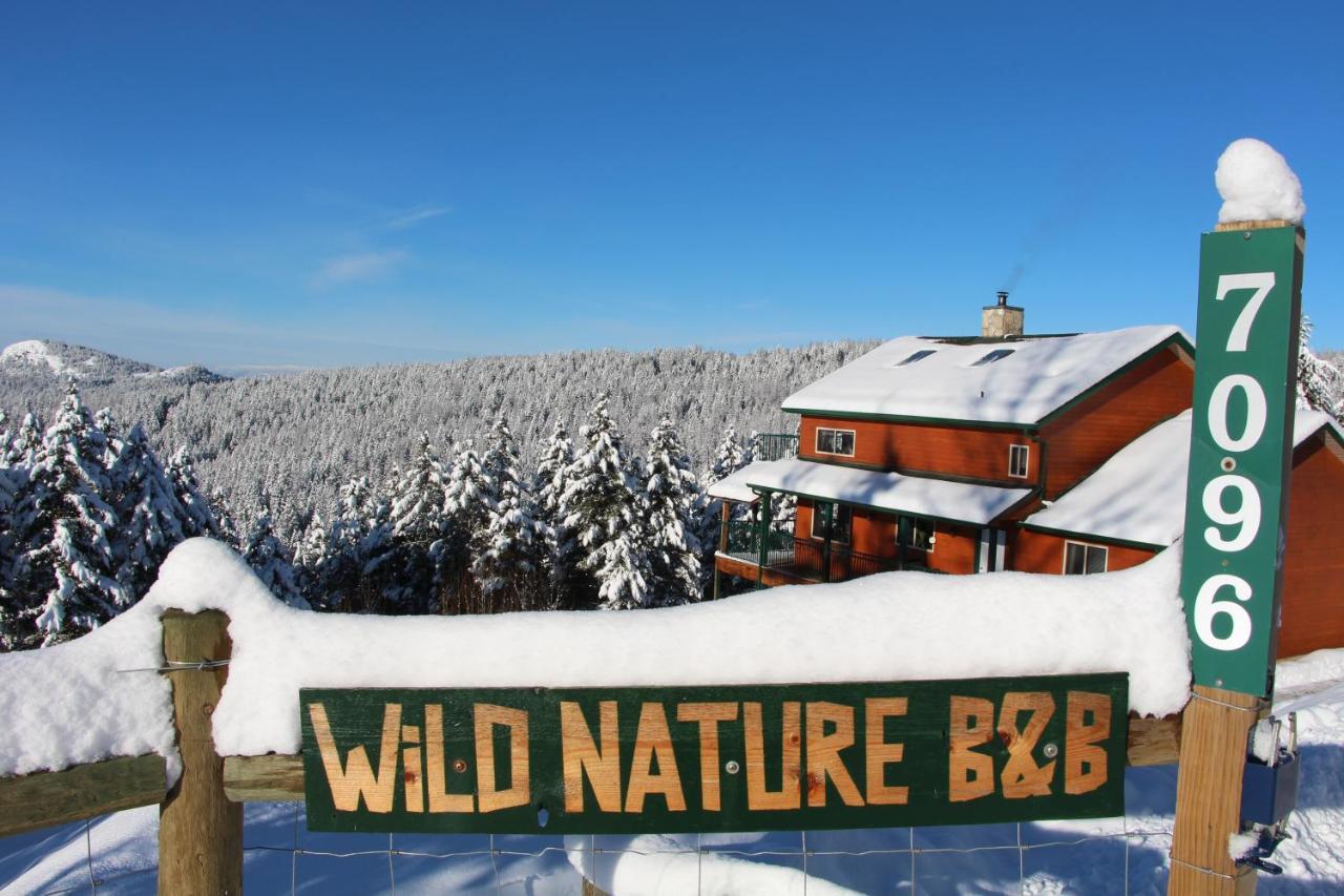 Wild Nature B&B Kelowna Exteriör bild