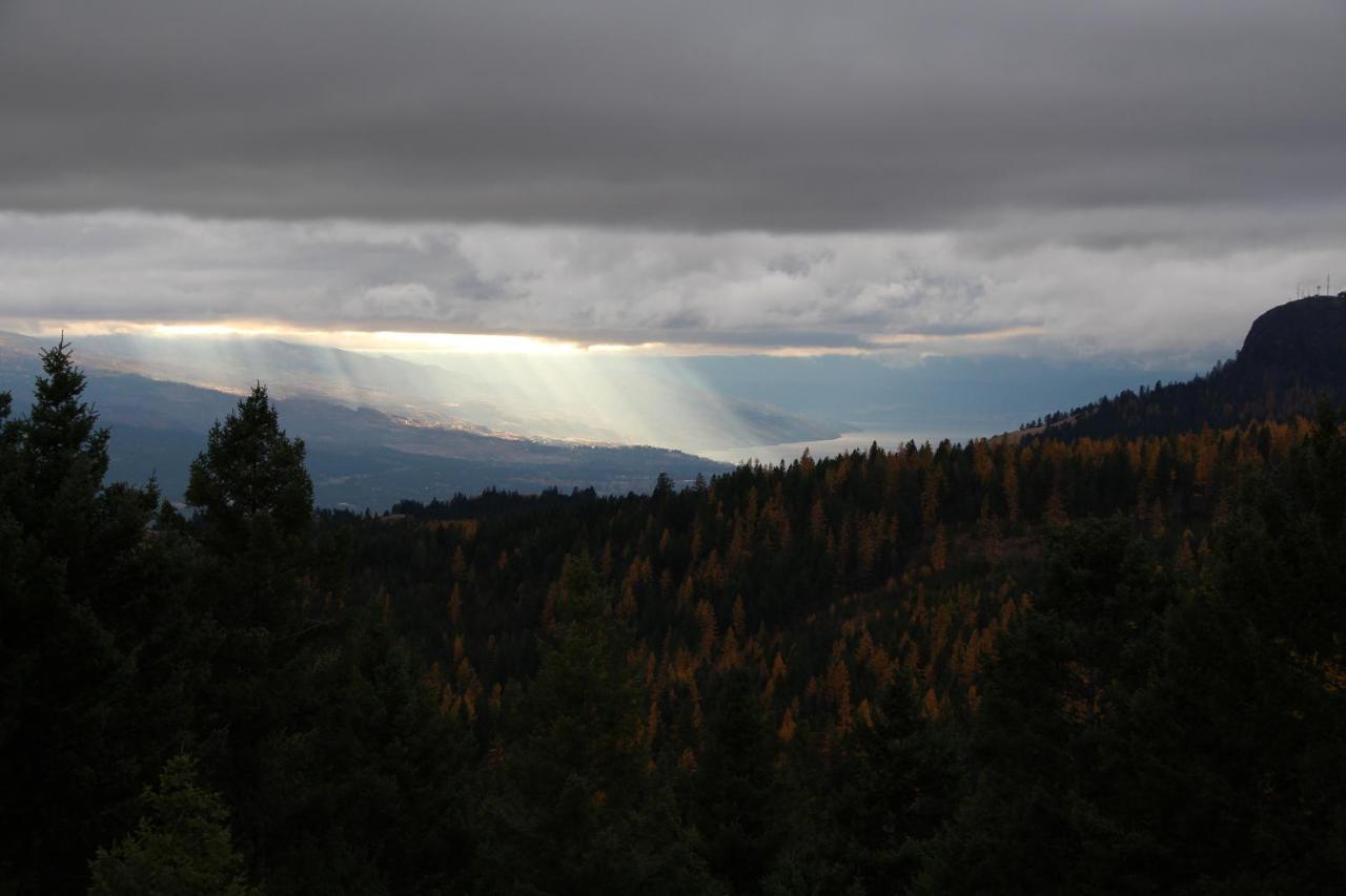 Wild Nature B&B Kelowna Exteriör bild
