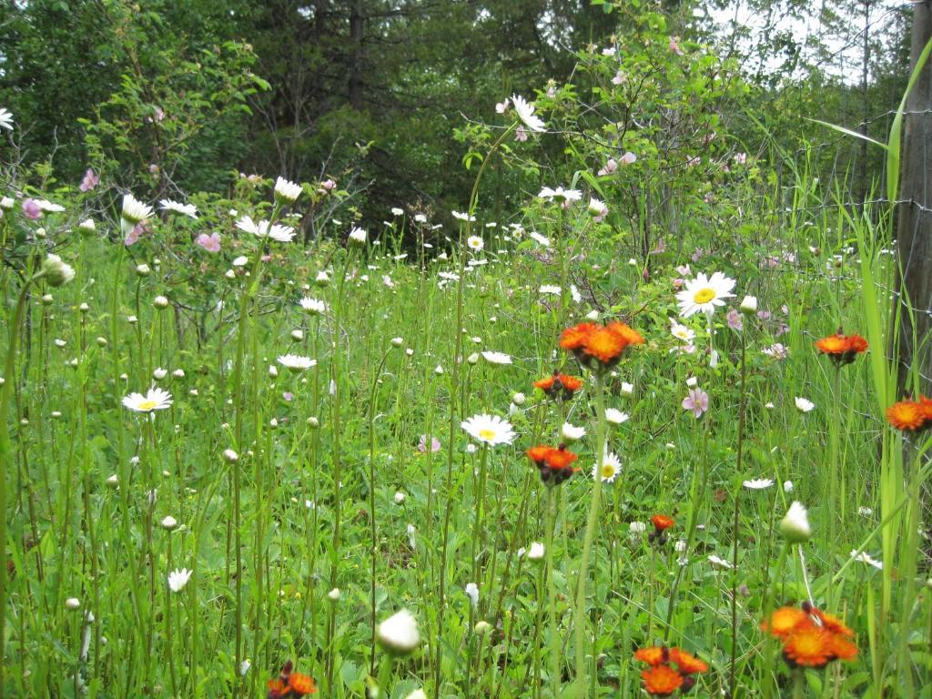 Wild Nature B&B Kelowna Exteriör bild