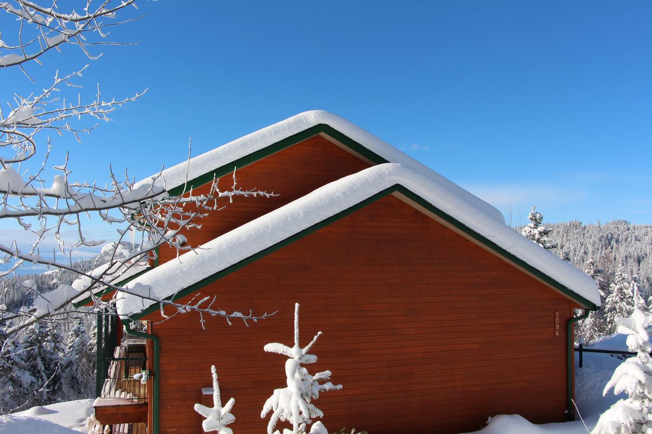 Wild Nature B&B Kelowna Exteriör bild
